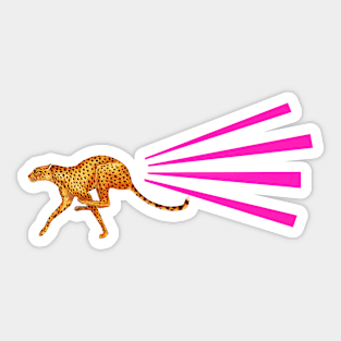 Cheetah Sticker